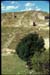 monte alban-12.jpg